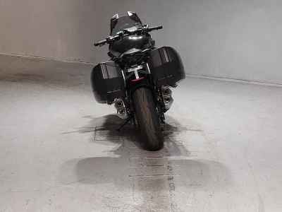 Kawasaki Ninja 1000 2019