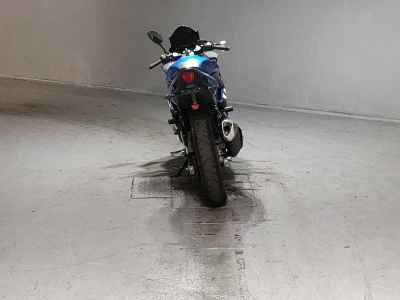 Suzuki GSX250R