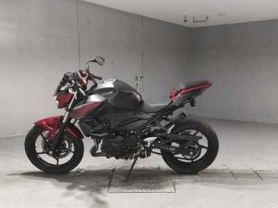 Kawasaki Z250 2019