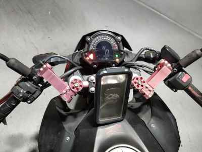 Kawasaki Z250 2019