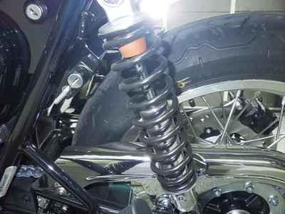 Kawasaki W800 2026