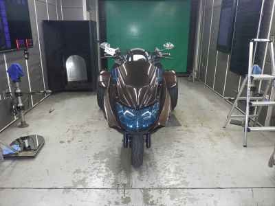 Yamaha Maxam 250 Trike 2010