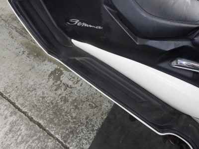 Suzuki Gemma 250