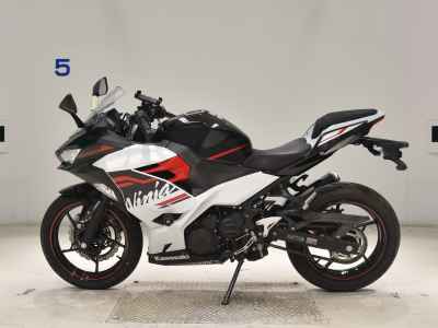 Kawasaki Ninja 250 2020