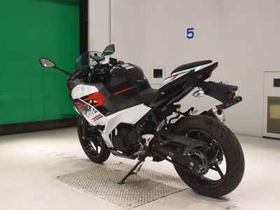 Kawasaki Ninja 250 2020
