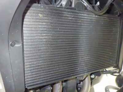 Honda NT1100 2022