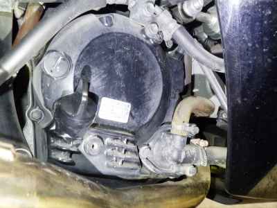 Honda Forza Z 2008