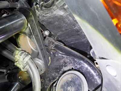 Honda Forza Z 2008