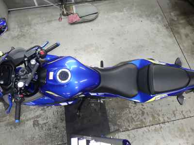 Suzuki GSX-R250