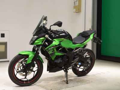 Kawasaki Z250SL 2016