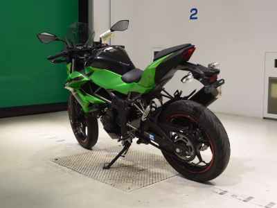 Kawasaki Z250SL 2016