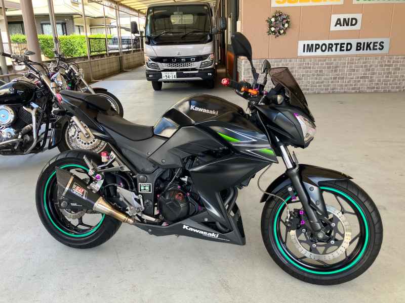 Kawasaki Z250