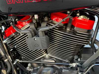 Harley-Davidson FLTRX STSE CVO 2024