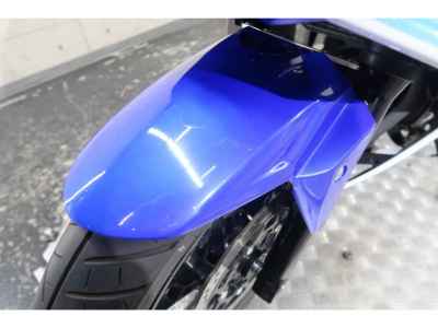 Suzuki GSX250R