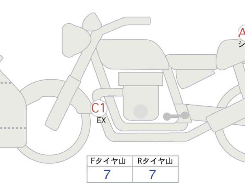 Triumph Daytona 660 2024