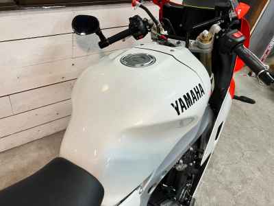 Yamaha XSR900 GP 2024