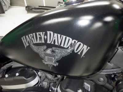 Harley-Davidson Sportster Iron XL883N 2018