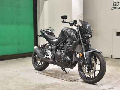 Yamaha MT-25 2022