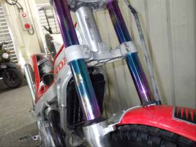Honda RTL250R