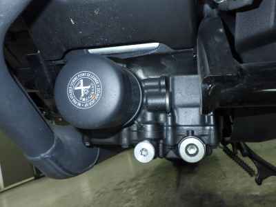 Honda Rebel CMX1100 DCT 2021