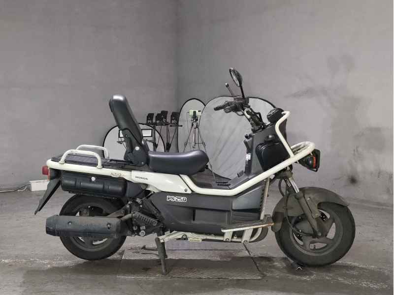 Honda PS250 Big Ruckus