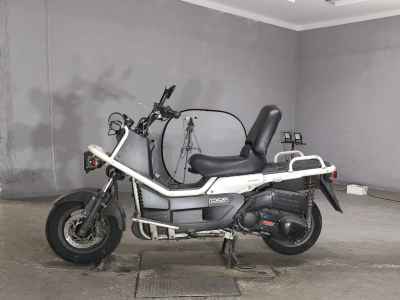 Honda PS250 Big Ruckus