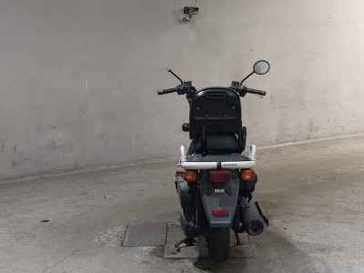 Honda PS250 Big Ruckus