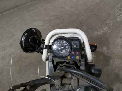 Honda PS250 Big Ruckus