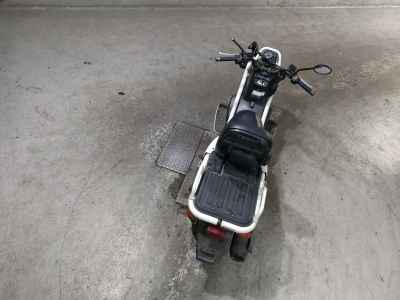 Honda PS250 Big Ruckus