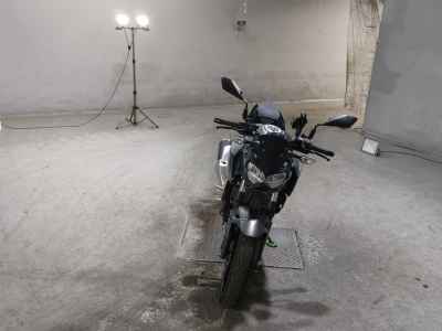 Kawasaki Z250 2024