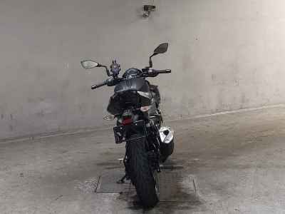 Kawasaki Z250 2024