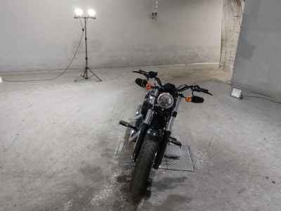 Harley-Davidson Sportster Forty-Eight XL1200X 2019