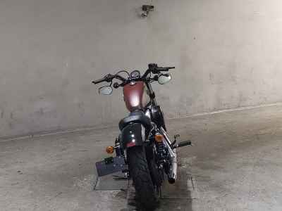 Harley-Davidson Sportster Forty-Eight XL1200X 2019