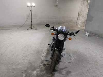 Kawasaki W800 2022