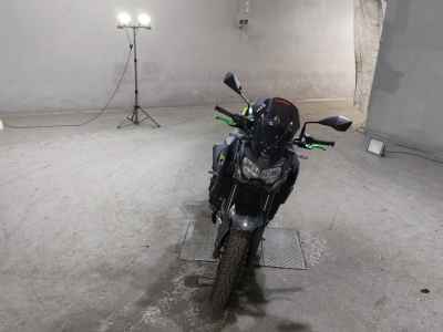 Kawasaki Z900 2022
