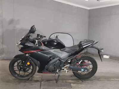 Yamaha YZF-R25