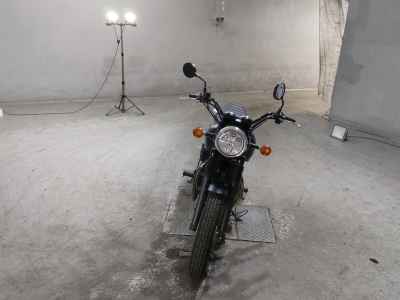 Kawasaki W800 2019