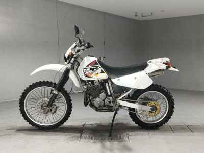 Suzuki DR250R