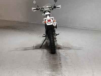 Suzuki DR250R