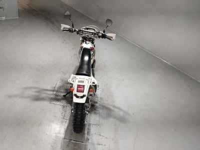 Suzuki DR250R