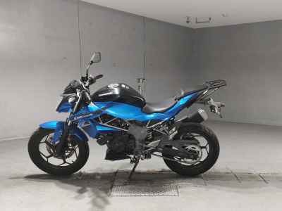 Kawasaki Z250SL 2016