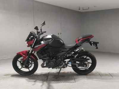 Kawasaki Z250 2019