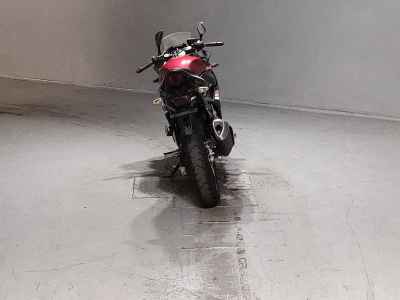 Suzuki GSX250R