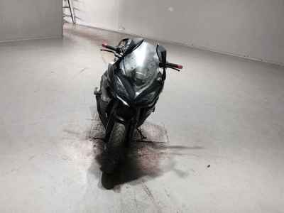 Kawasaki Ninja 1000 2019