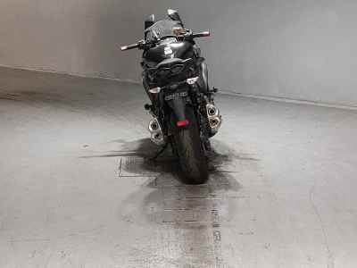Kawasaki Ninja 1000 2019