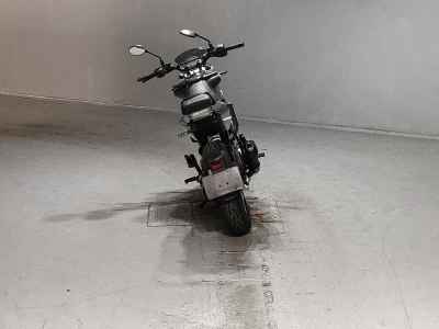 Husqvarna Svartpilen 401 2021