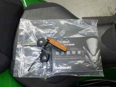 Kawasaki Ninja H2 SX 2018