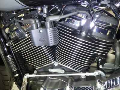 Harley-Davidson Sport Glide FLSB1750 2025