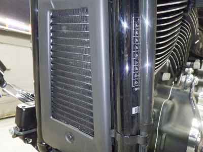 Harley-Davidson Sport Glide FLSB1750 2025