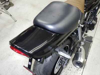 Kawasaki Z900RS Cafe 2021